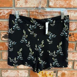 NWT Loft Shorts Size Medium